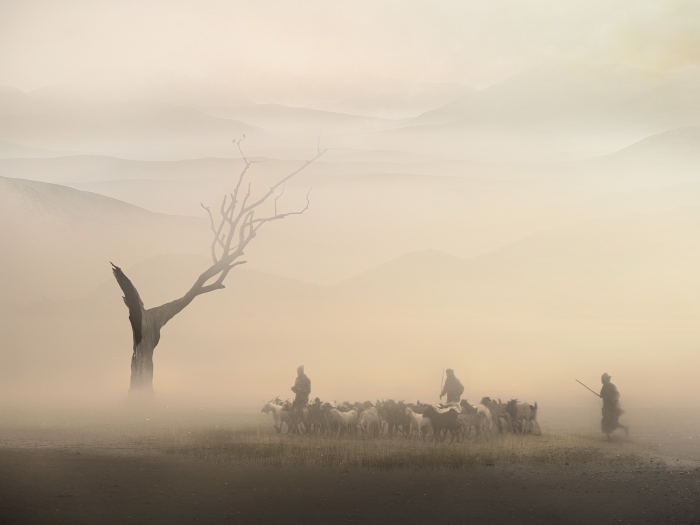 Another Foggy Morning.jpg