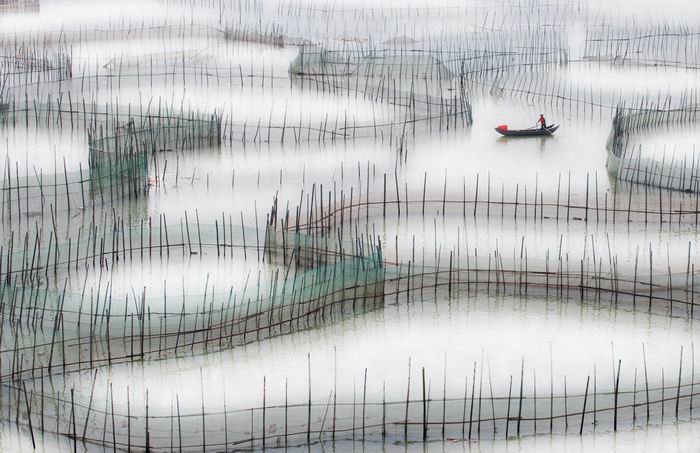in the fishing pond.jpg
