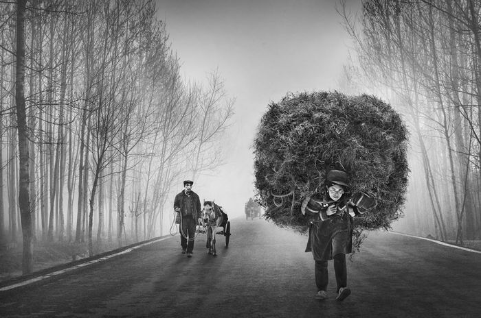 burden of life 1.jpg