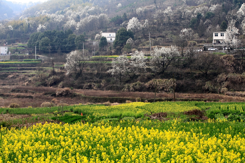 IMG_0668_副本.jpg
