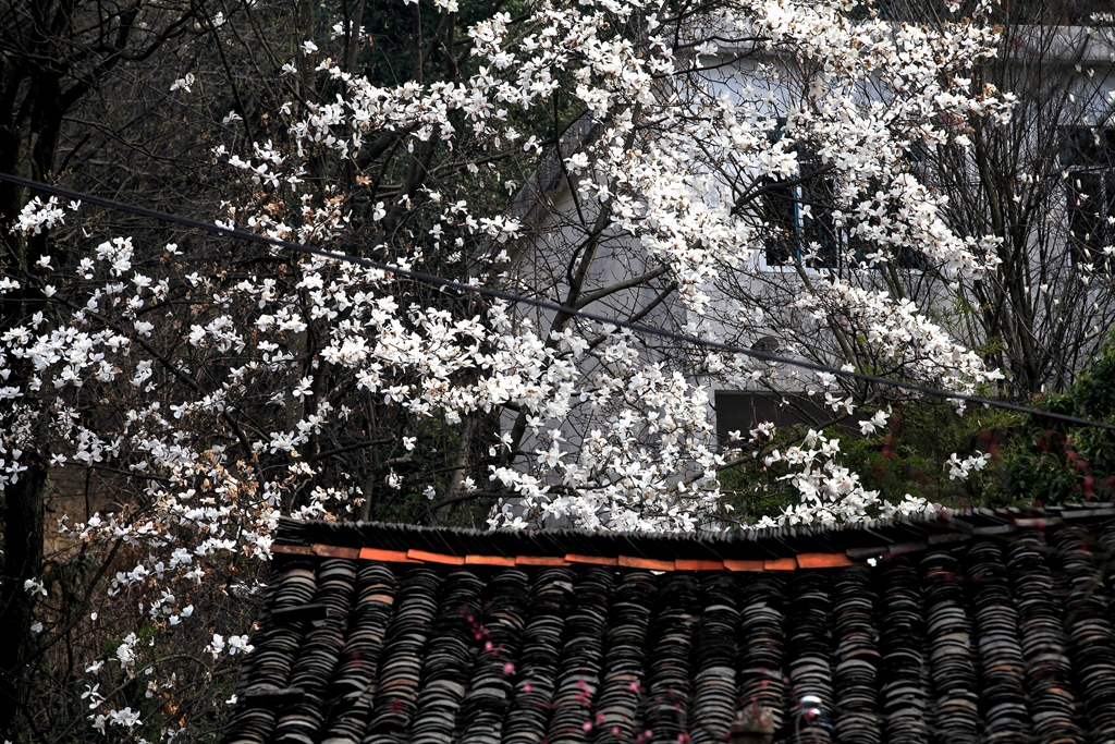 IMG_0679_副本.jpg