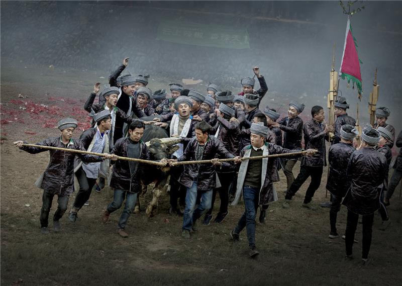 Basha Bullfighter.jpg
