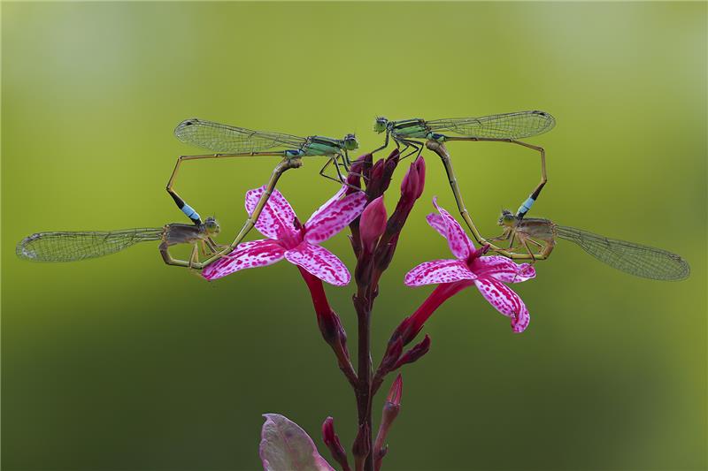 Beautiful love.jpg