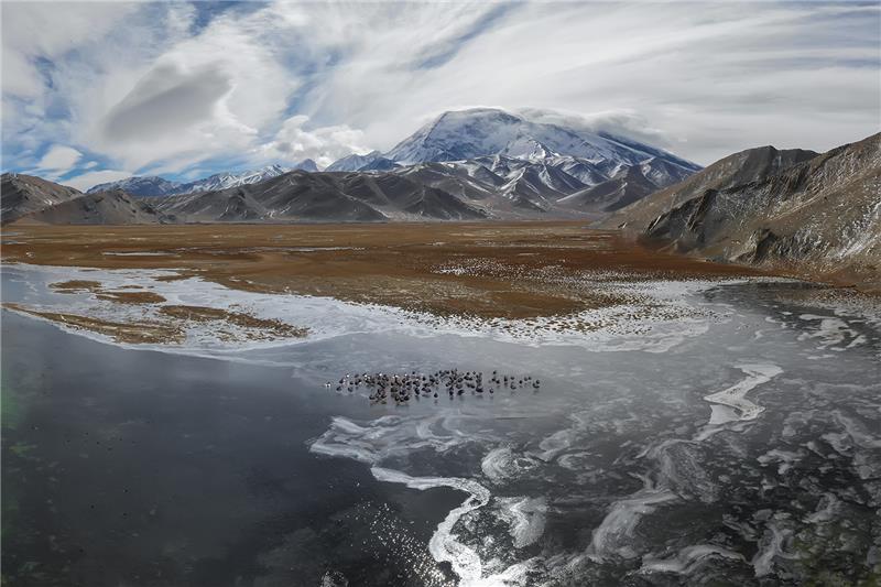 Snow mountain ice beach.jpg