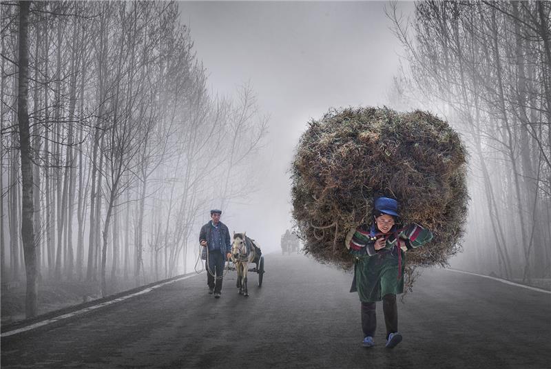 Burden of life 1.jpg
