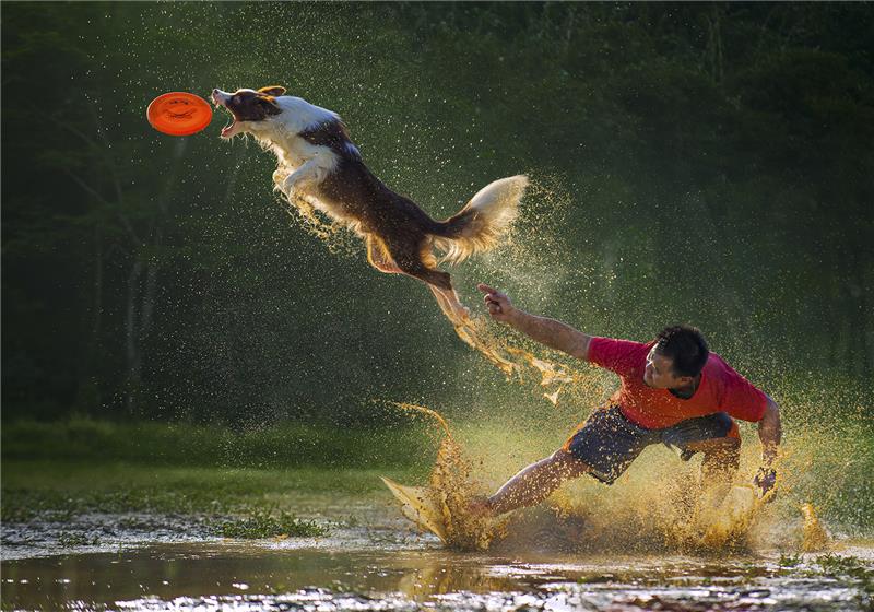 Catch it 2.jpg