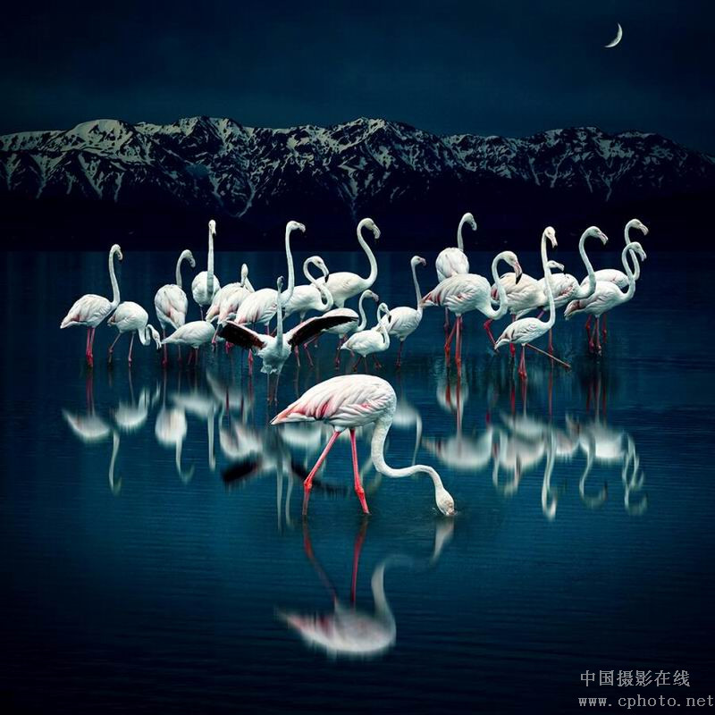 YSH_副本.jpg
