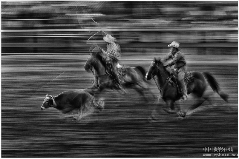 chasing the cow_副本.jpg