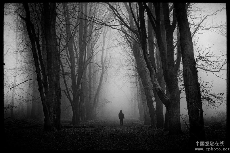 wolfs path_副本.jpg