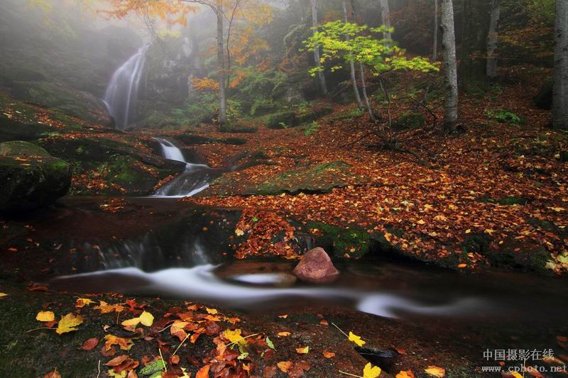 autumn colors_副本.jpg