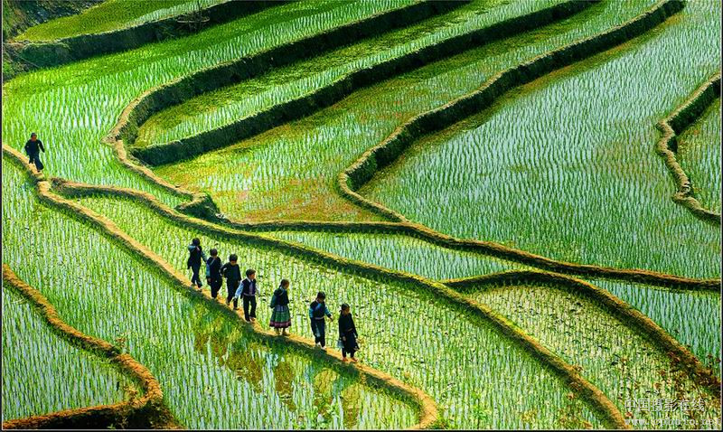 students in high land_副本.jpg