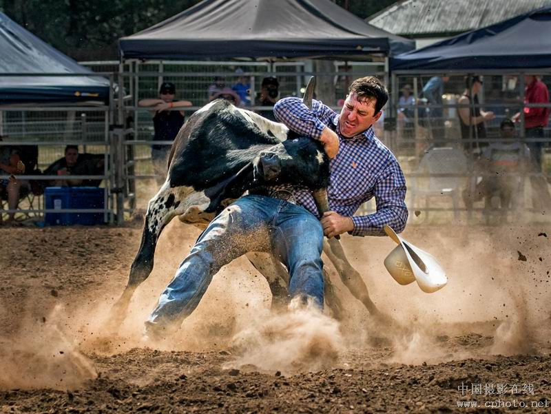 bull by the horns_副本.jpg