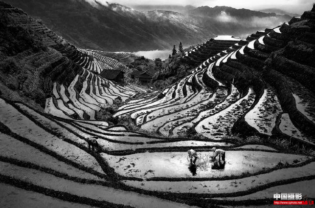 Terraced morning light.png