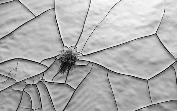 Clay Cracks.jpg