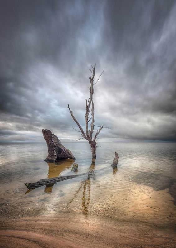 lake fyans morning.jpg