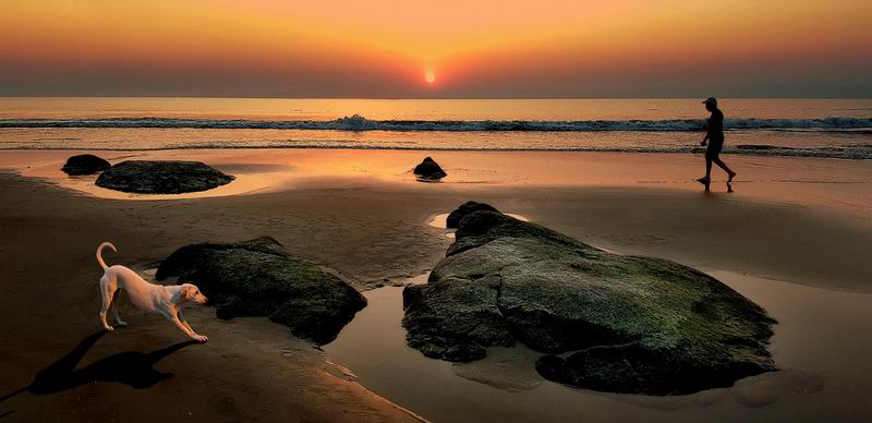 sunset.jpg