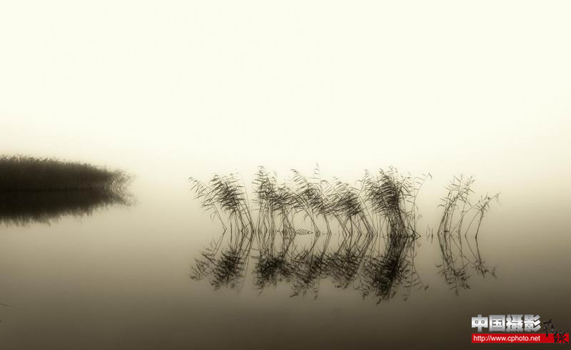 foggy morning_副本.jpg