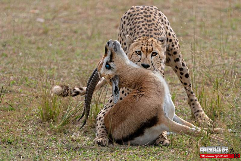 good catch_副本.jpg