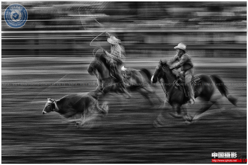 Chasing the Cow.png