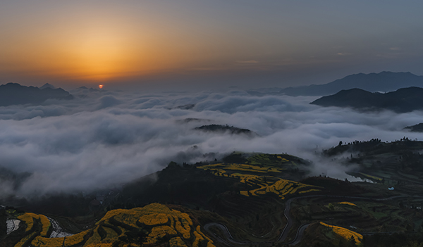 醉美茗岙