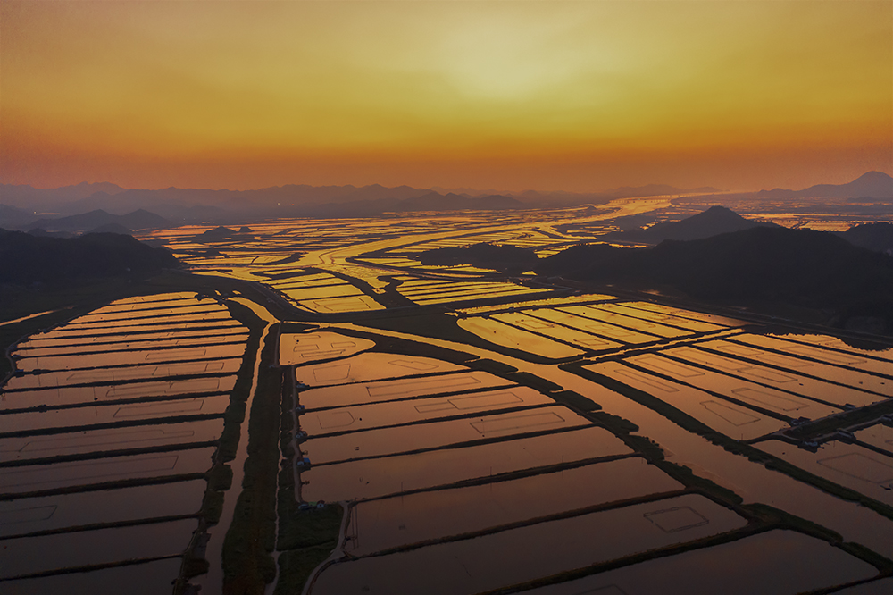 DJI_0372w.jpg