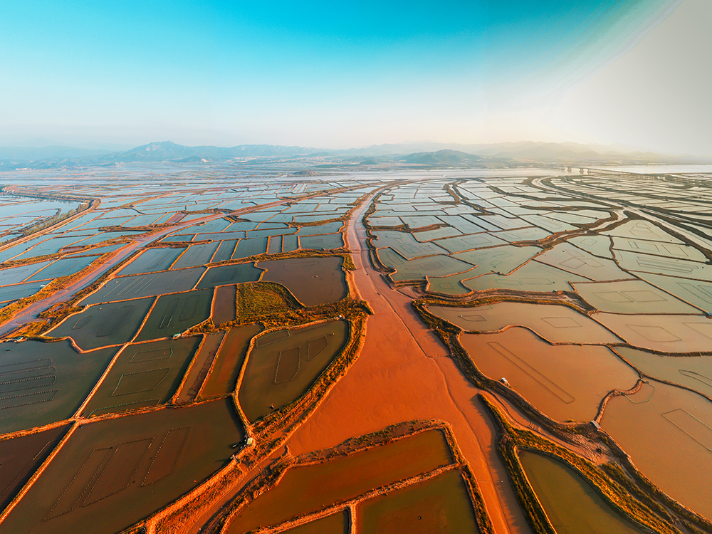 DJI_0455w.jpg