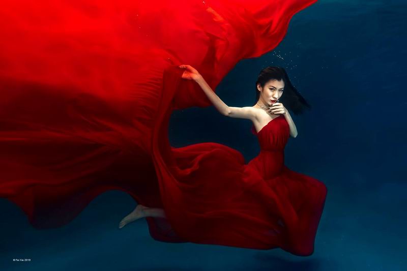 Xie Fei_Red Beauty_NSFF Gold medal.jpg