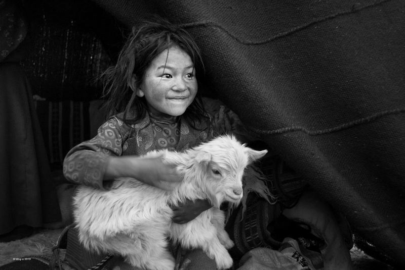 Li Ming_Girl with the Lamb_NSFF Ribbon.jpg