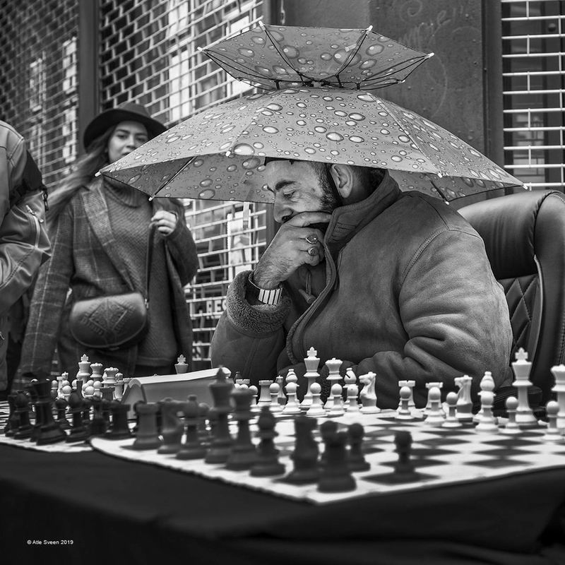 Sveen Atle_Chess for Fun_PSA Silver medal.jpg