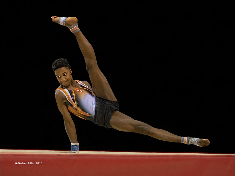 Millin Robert-MFIAP-James Philip on Floor-PSNZ  Gold Medal-England.jpg