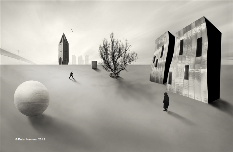 Hammer Peter-GMAPS-The Last Tree 3-PSNZ Silver Medal-Australia.jpg