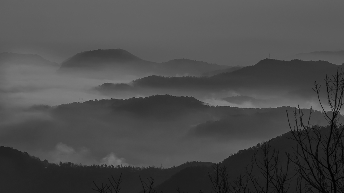 _DSC3900wwa.jpg