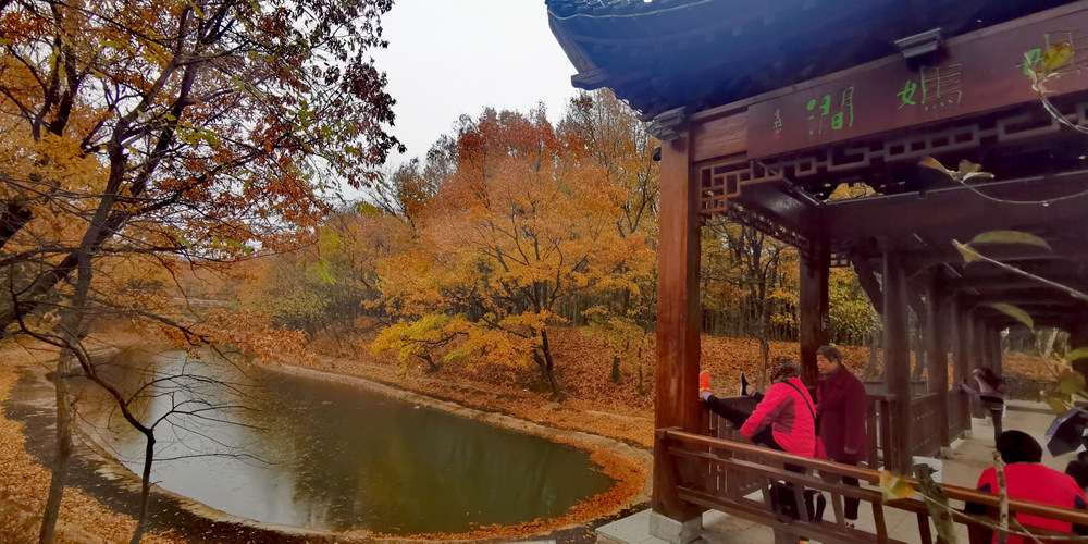 IMG_20191126_154645_副本.jpg