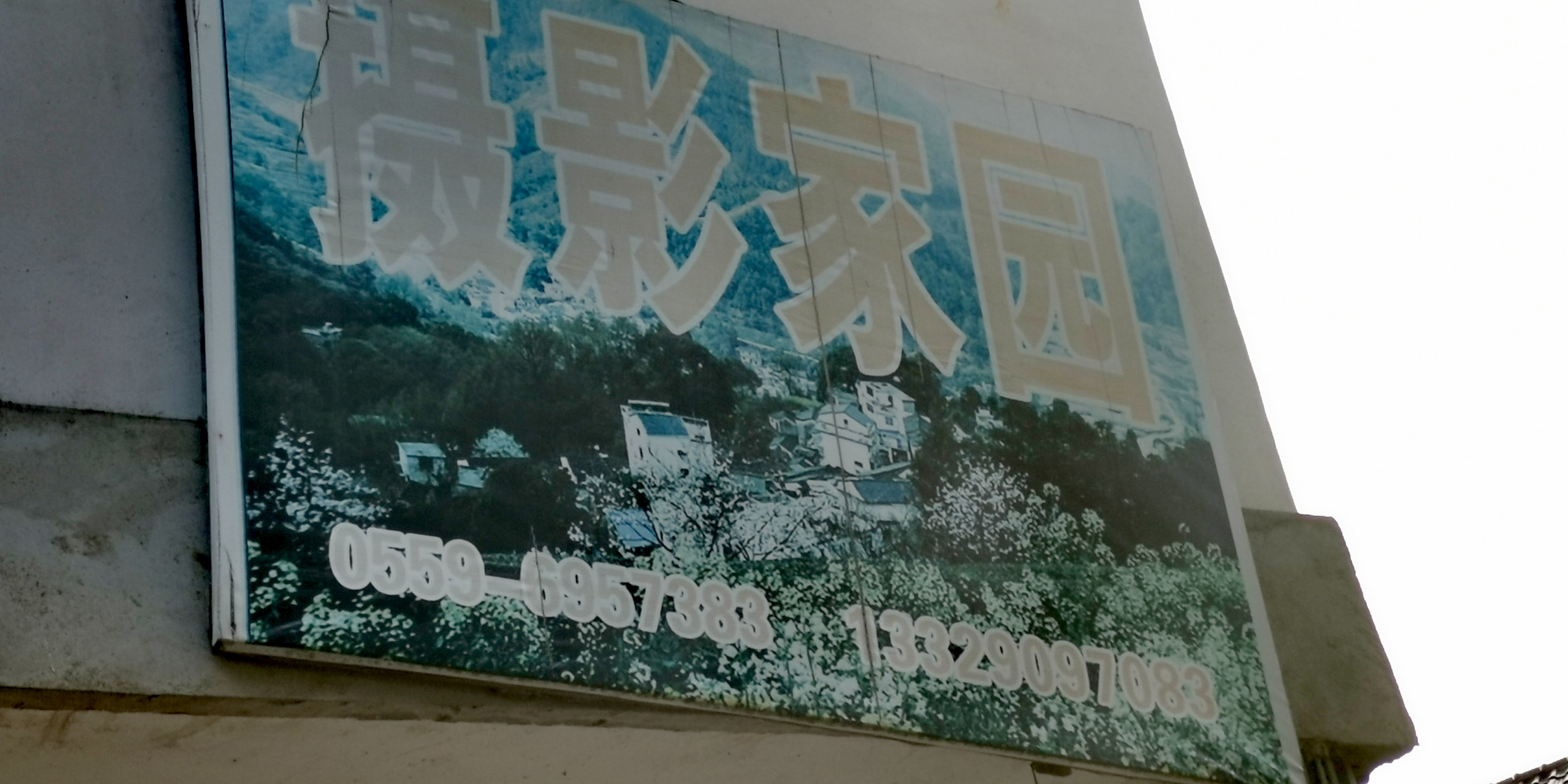 IMG_20191004_072918.jpg