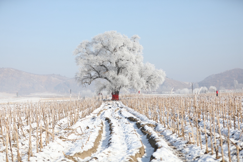 366A2527.JPG