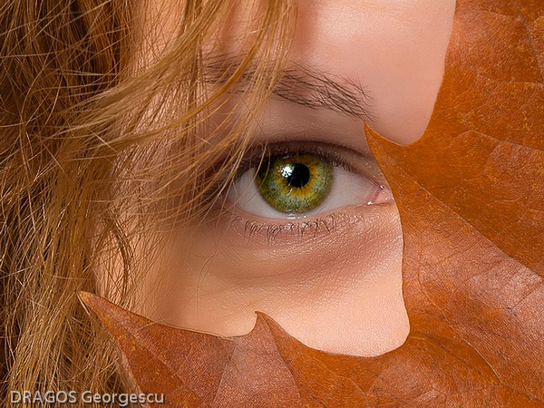 Dragos_Georgescu_Romania_autumn.jpg