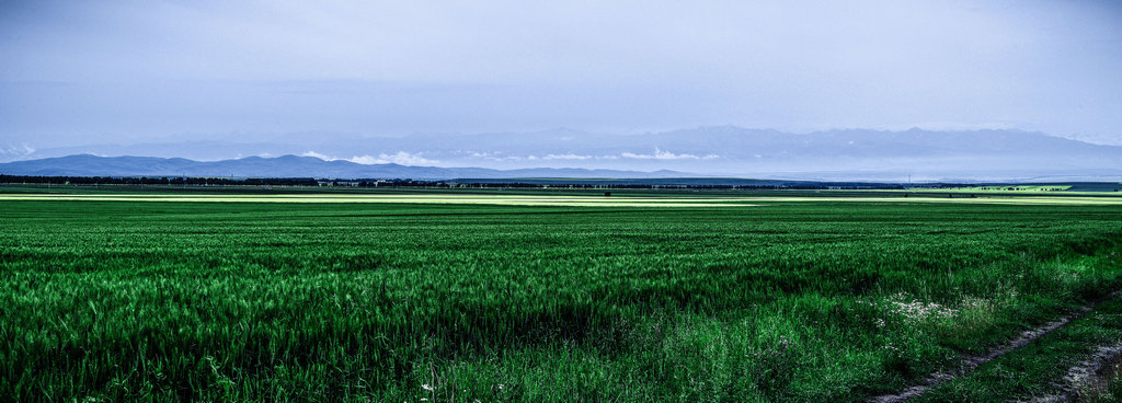 IMGP9106-c-E7-yy.jpg