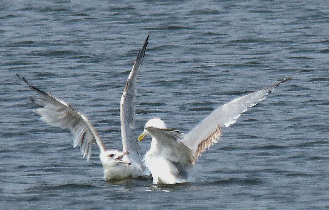 DSC_5845_副本.jpg