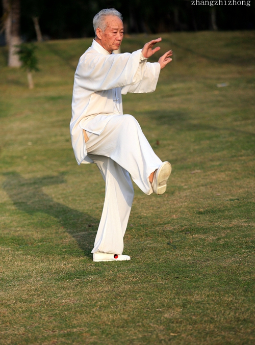 IMG_7961.jpg