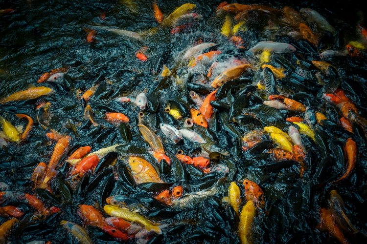 7F69EC05-E517-4147-B985-59C1A34580F5.jpeg