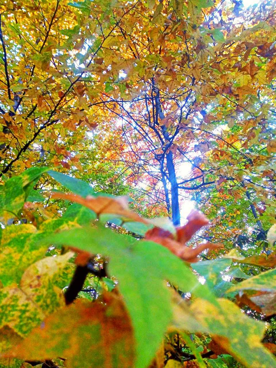 PicsArt_11-09-10.52.54.jpg