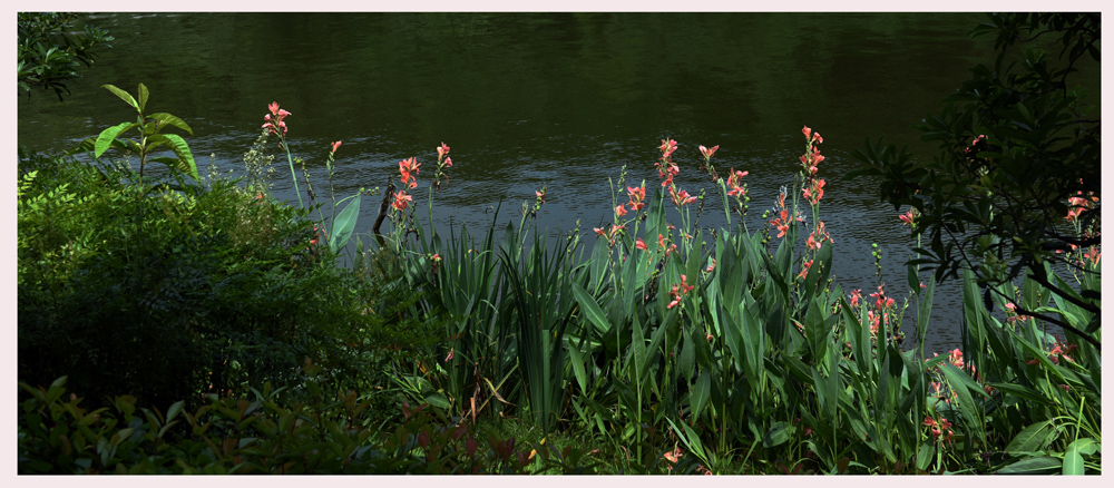 FXN_0870.JPG