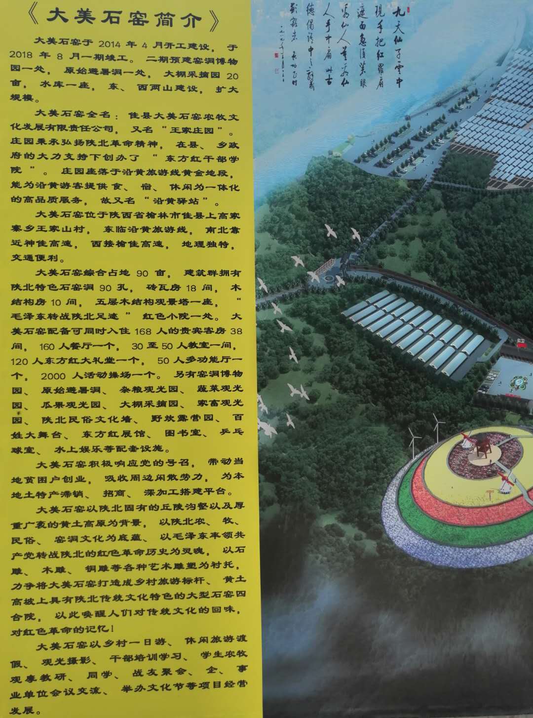 大美1.jpg