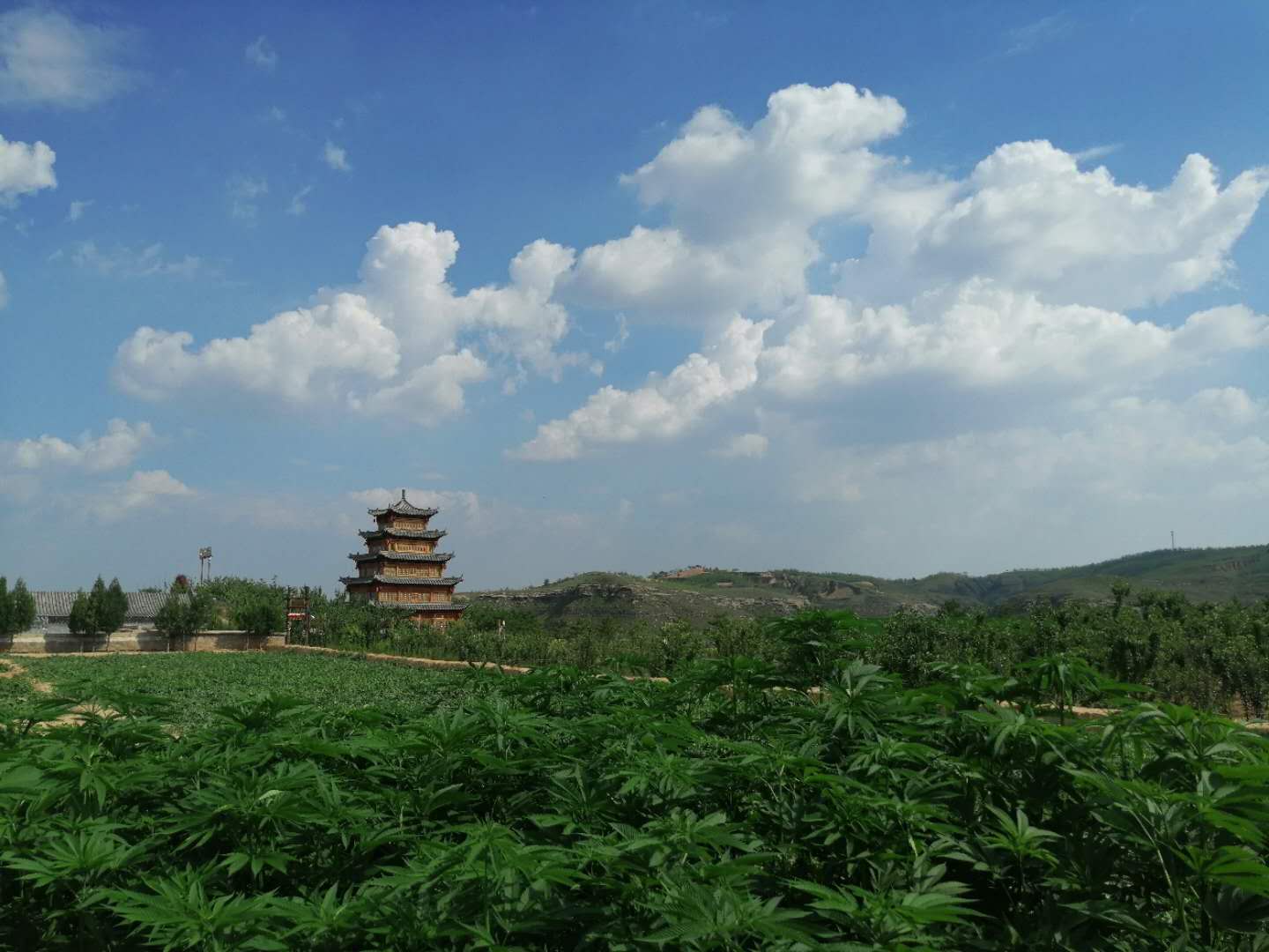 大美18.jpg