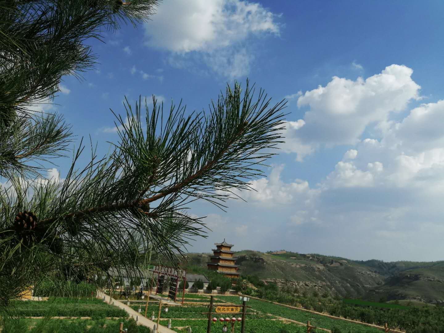 大美19.jpg