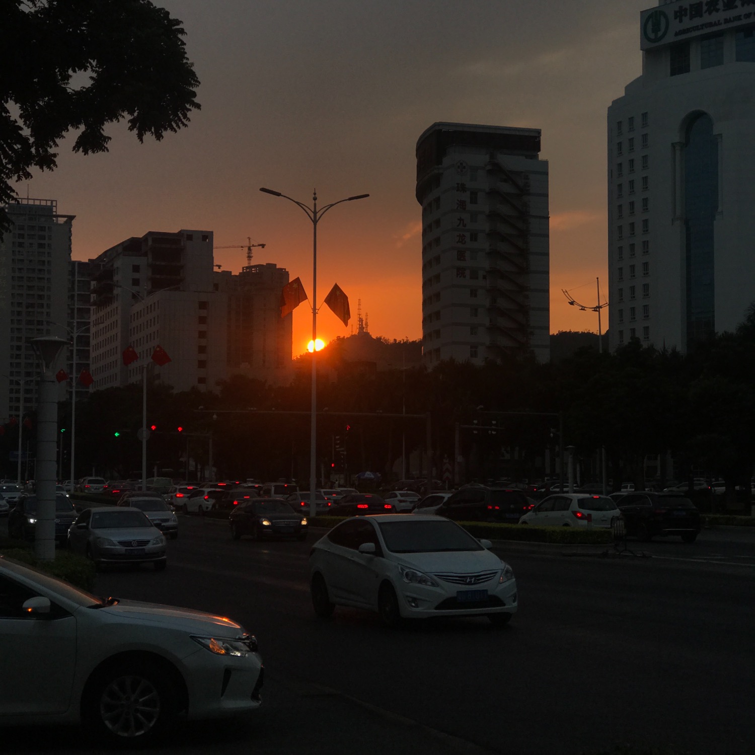 6F63F24B-0535-4CE6-8776-6C07C7057380.jpeg