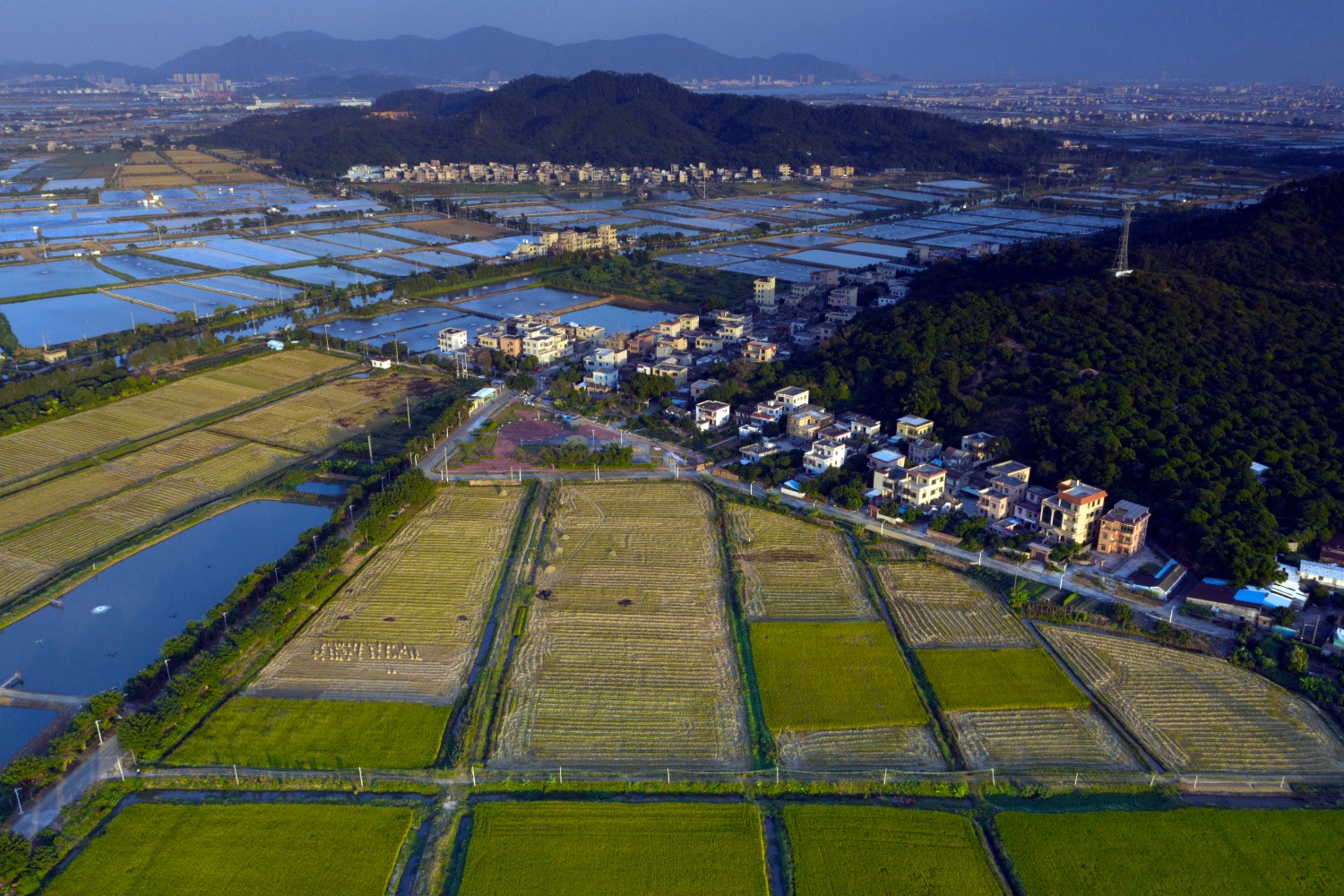 DJI_0798.jpg