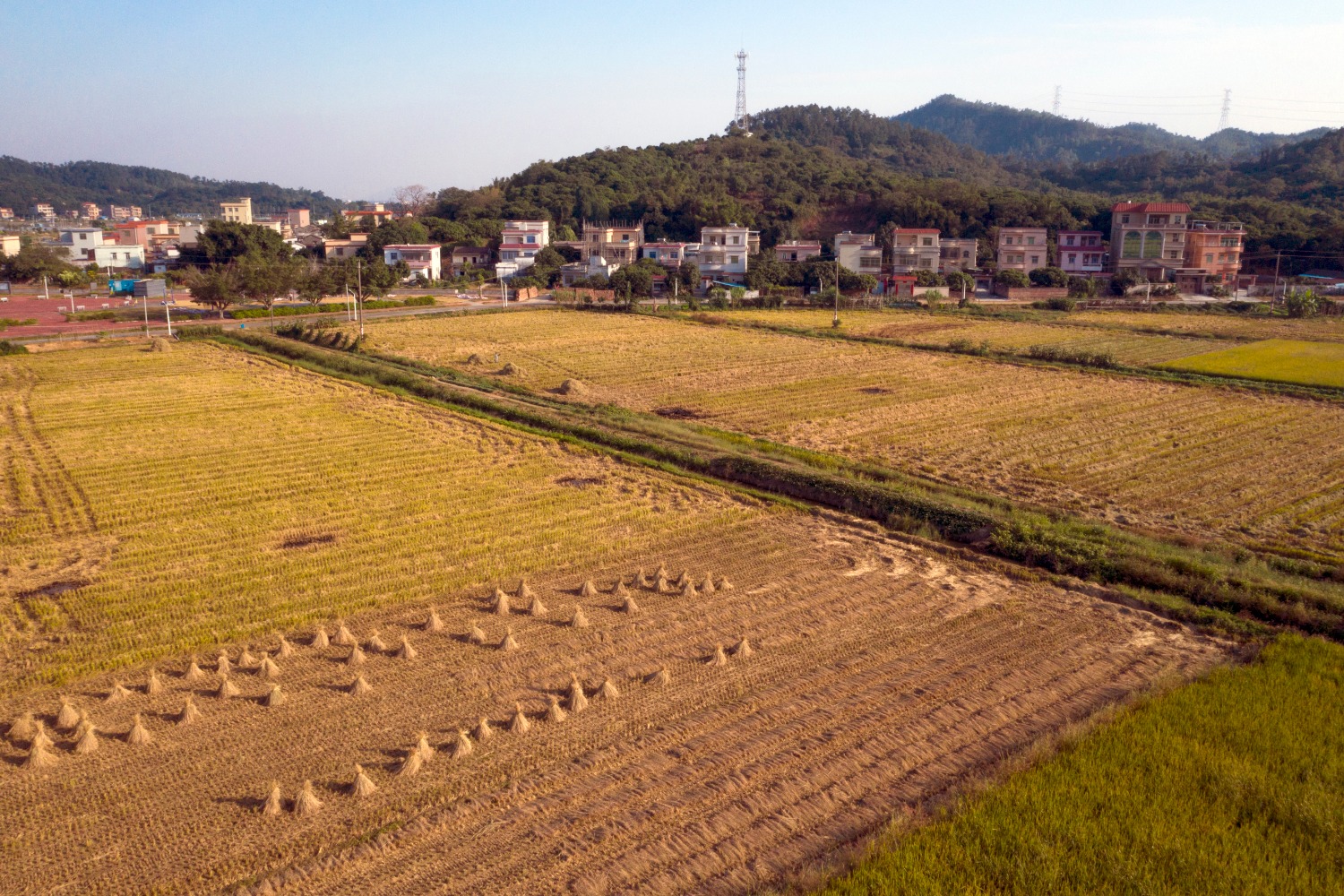 DJI_0739.jpg