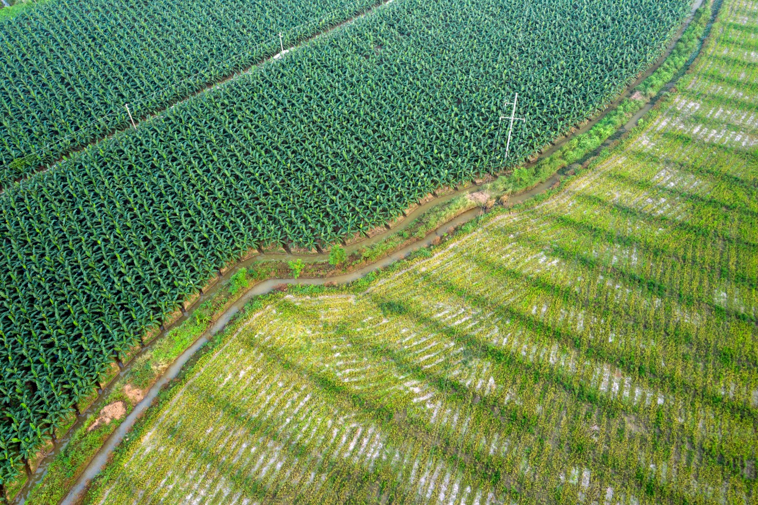 DJI_0696.jpg