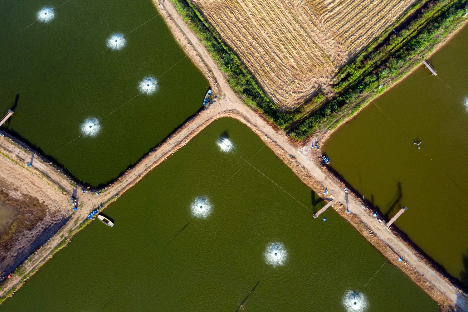 DJI_0764.jpg